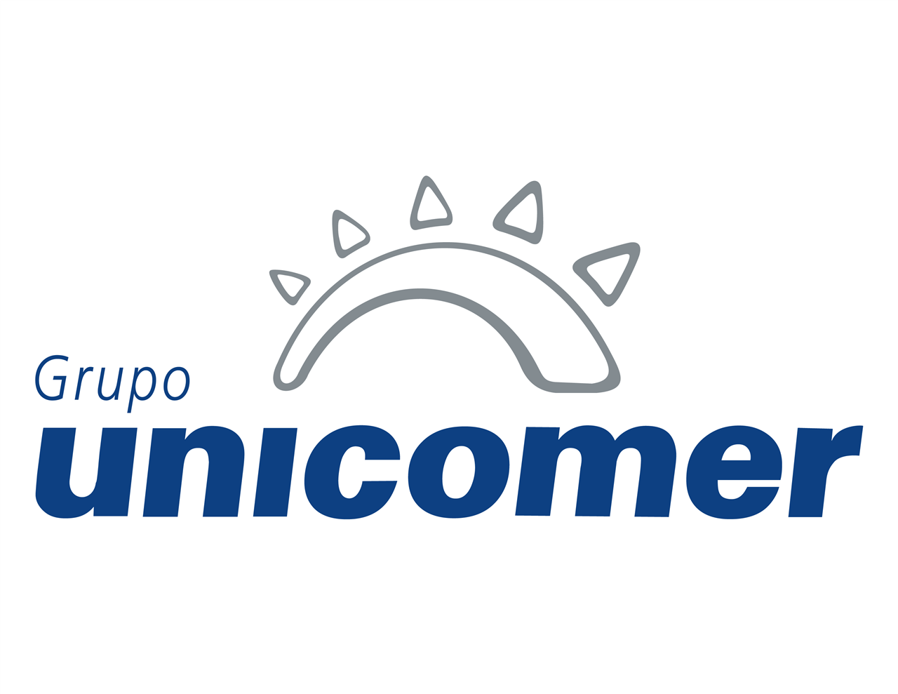 Grupo Unicomer